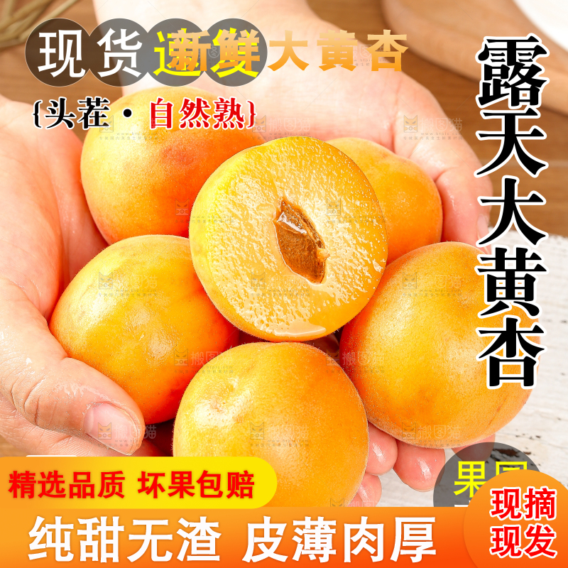 新鲜大黄杏主图
