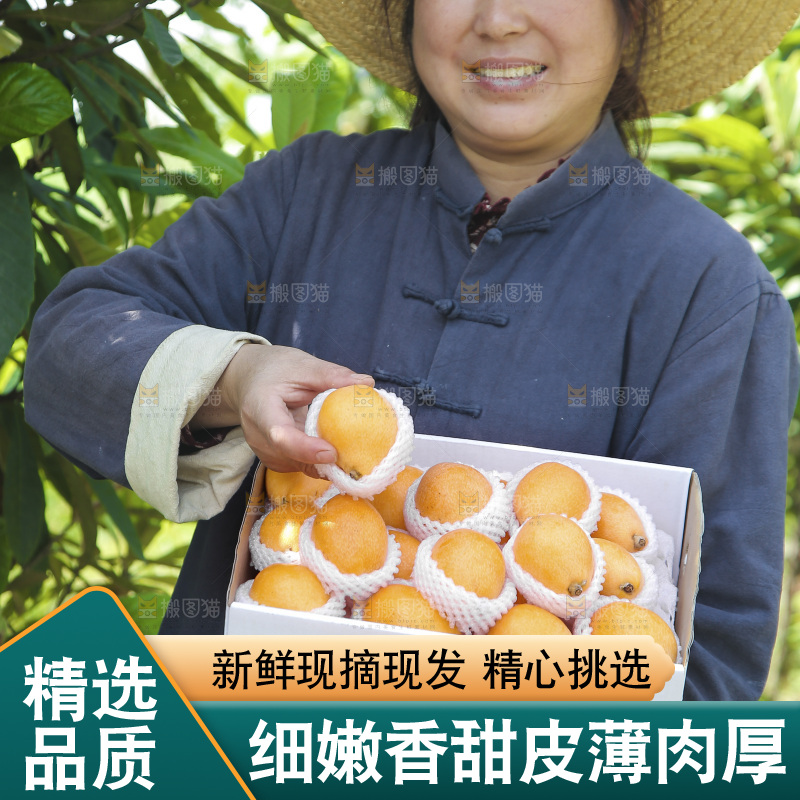 手里拿着五星枇杷