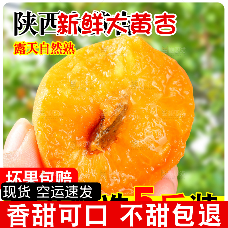 新鲜大黄杏主图