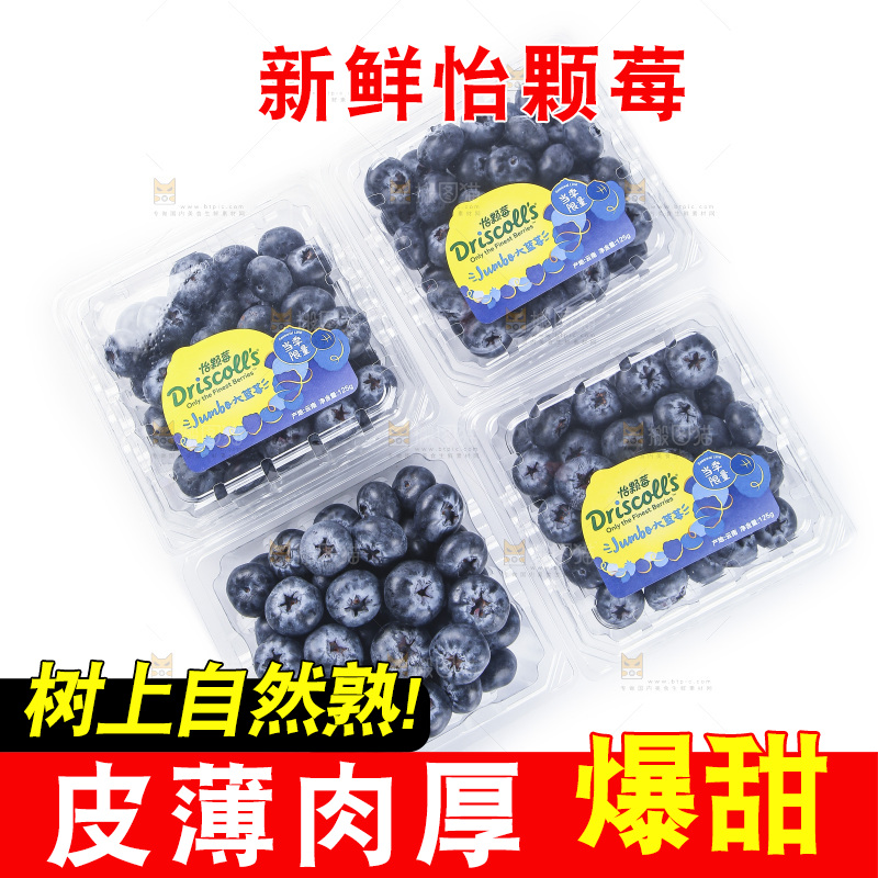 浅底上的怡颗梅
