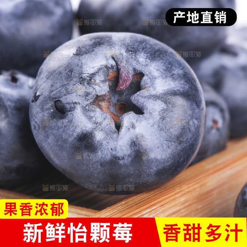 浅底上的怡颗梅