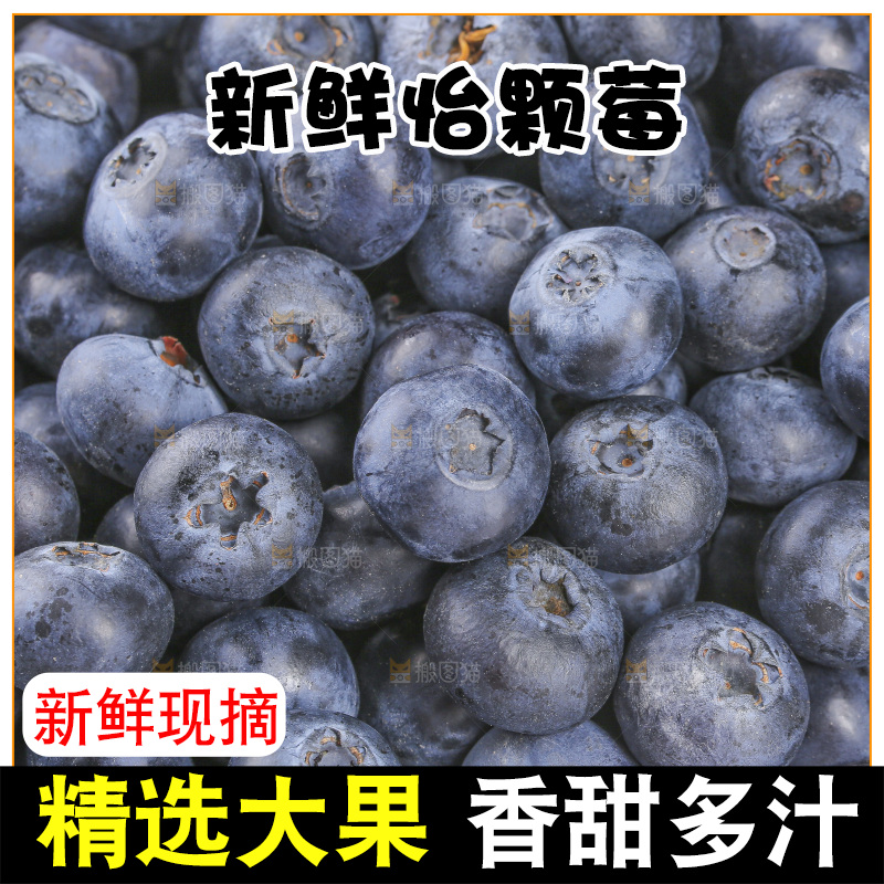 堆放着的新鲜蓝莓
