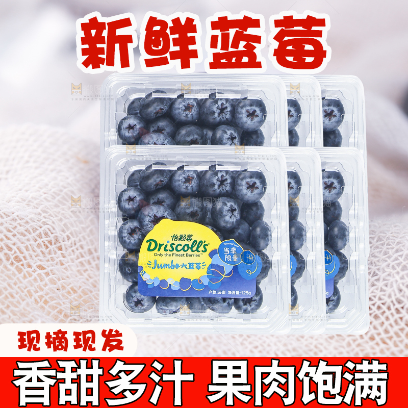 堆放着的新鲜蓝莓