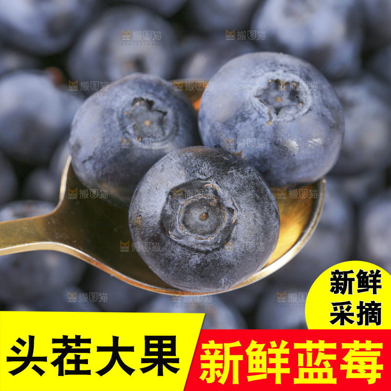 堆放着的新鲜蓝莓