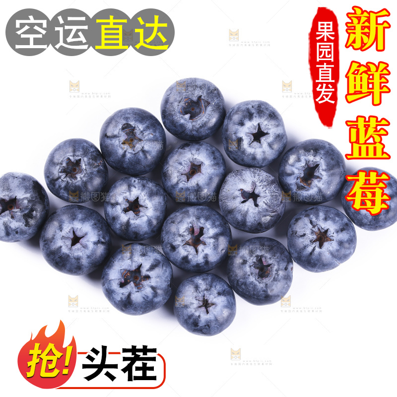 浅底上的怡颗梅