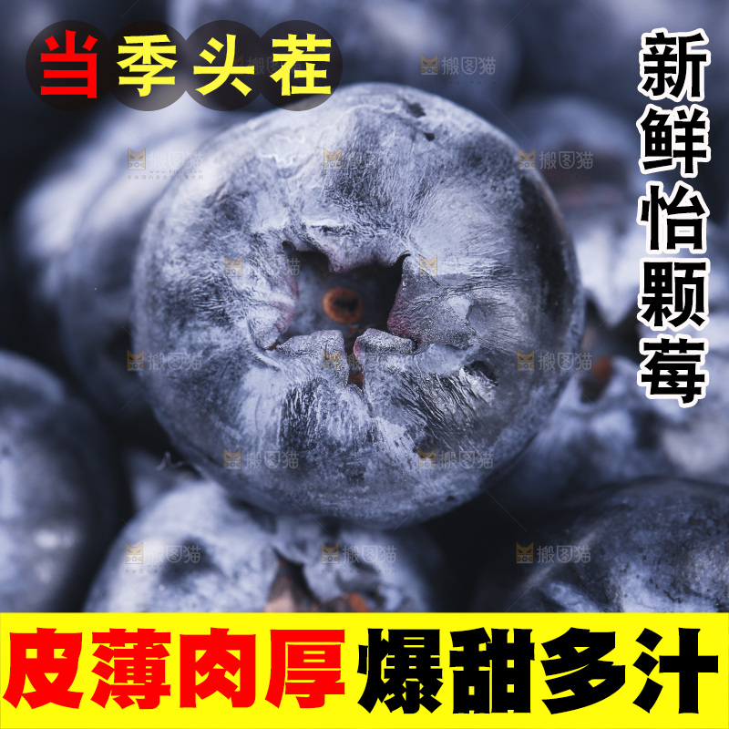 堆放着的新鲜蓝莓