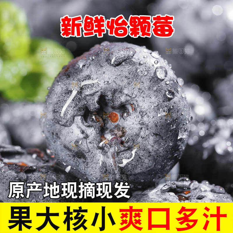 堆放着的新鲜蓝莓