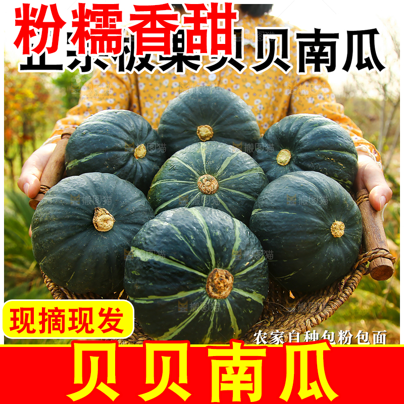木底上的贝贝南瓜