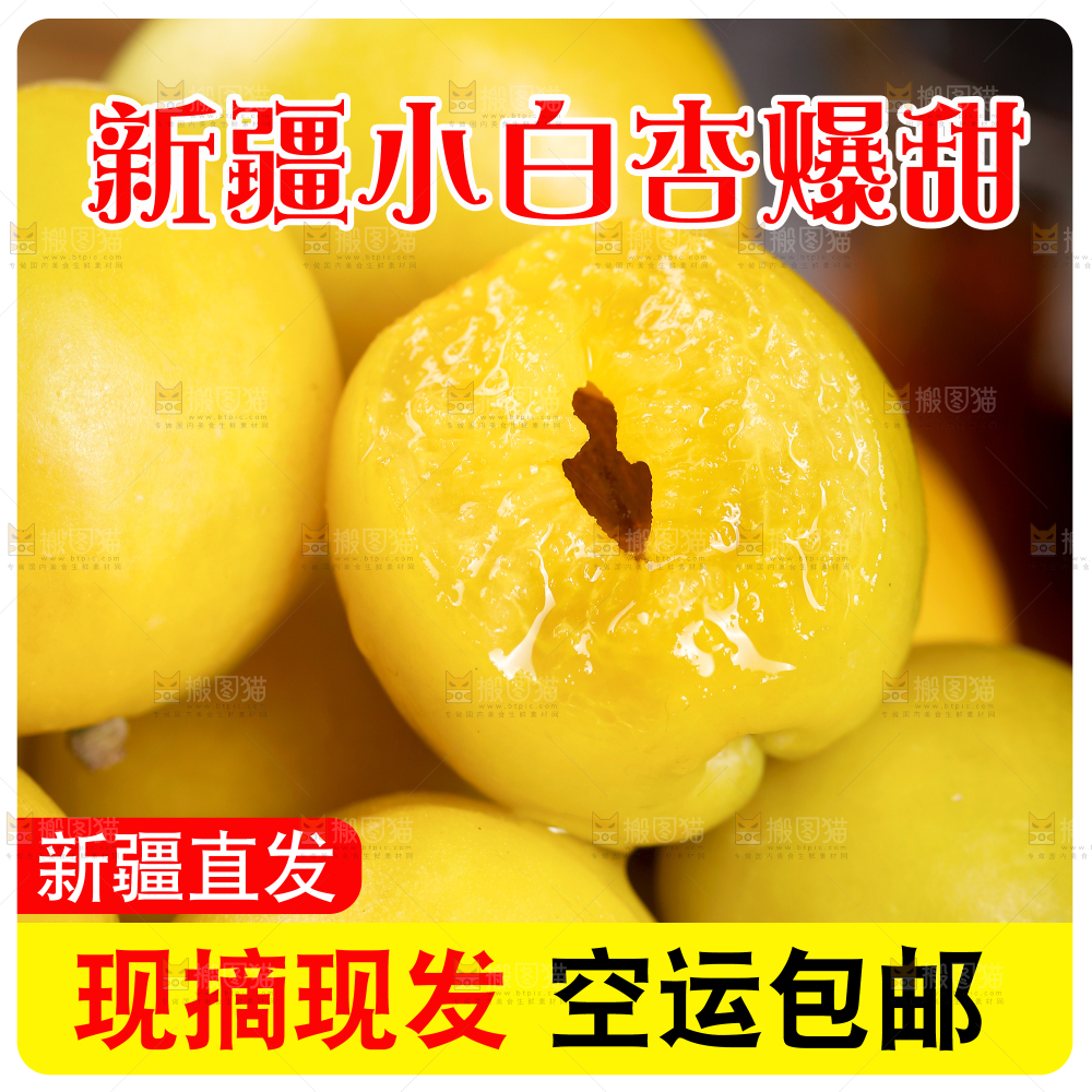 新疆小白杏主图