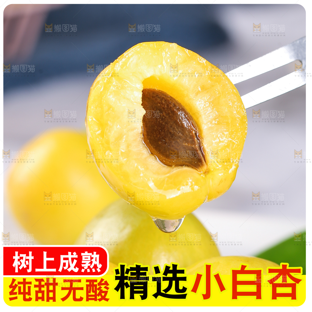 新疆小白杏主图