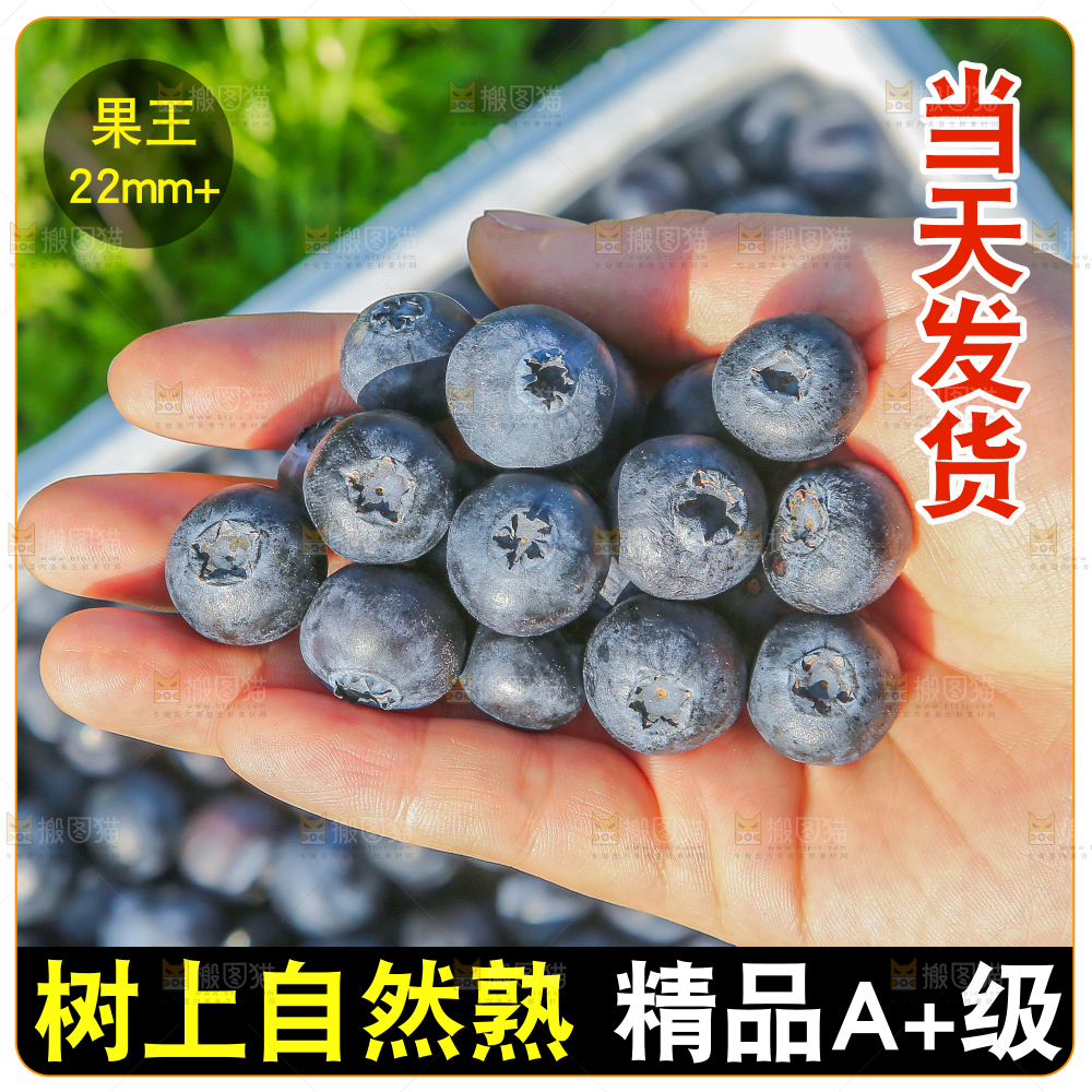 怡颗莓主图