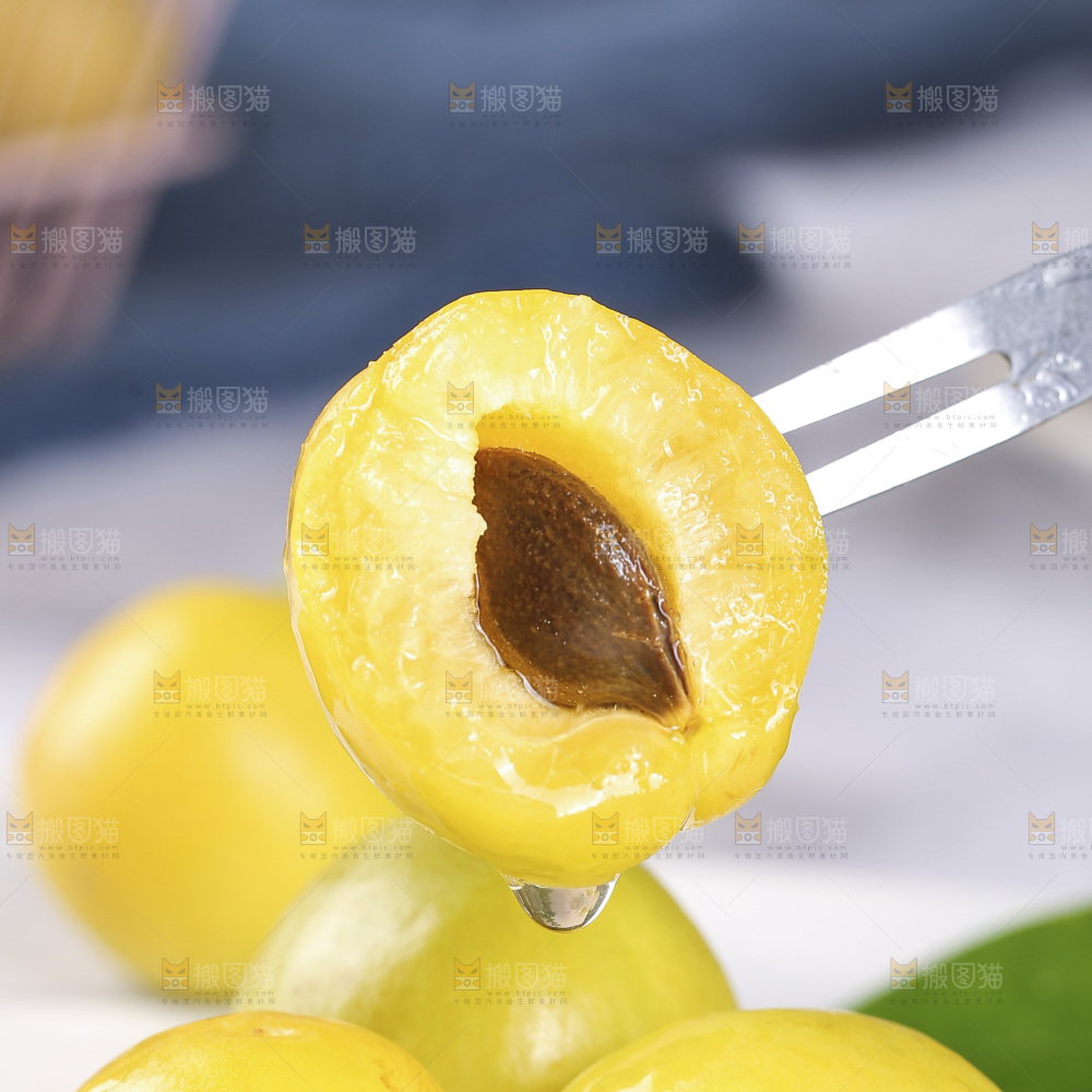 小白杏主图