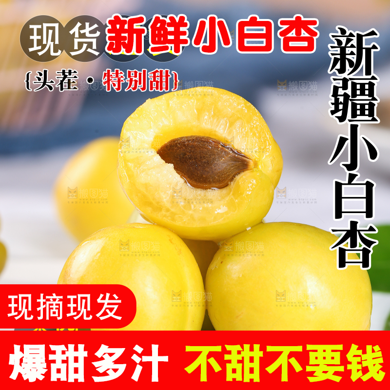 新疆小白杏主图