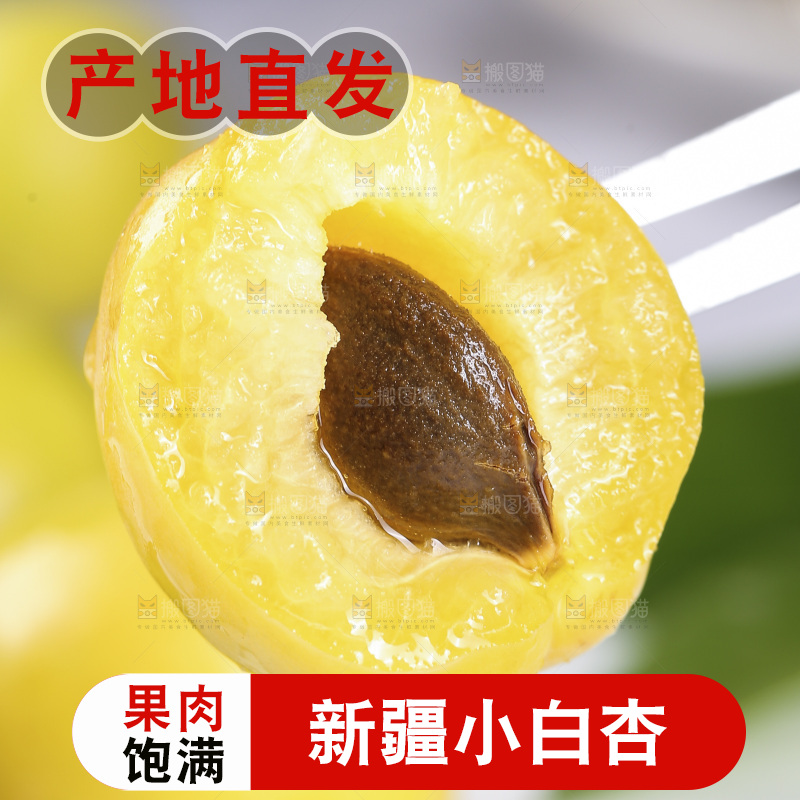 小白杏主图