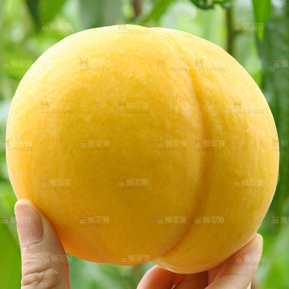 桃
