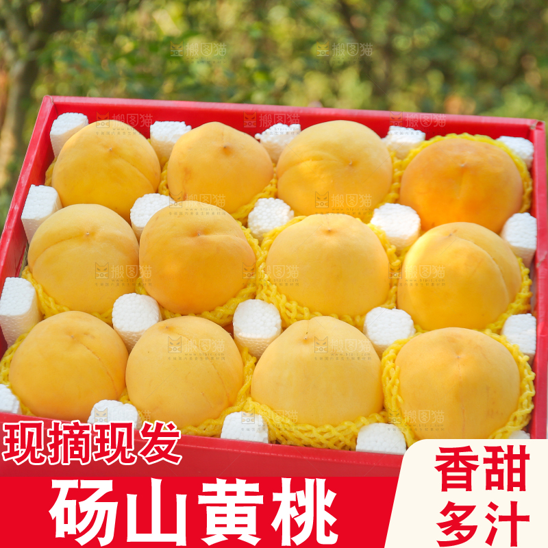 手里拿着黄毛桃