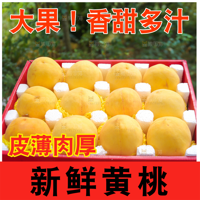 手里拿着黄毛桃