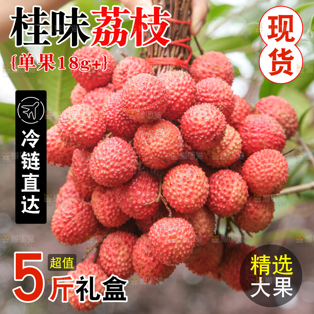 新鲜桂味荔枝主图