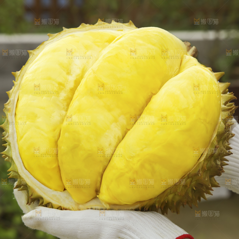 深底上的泰国榴莲