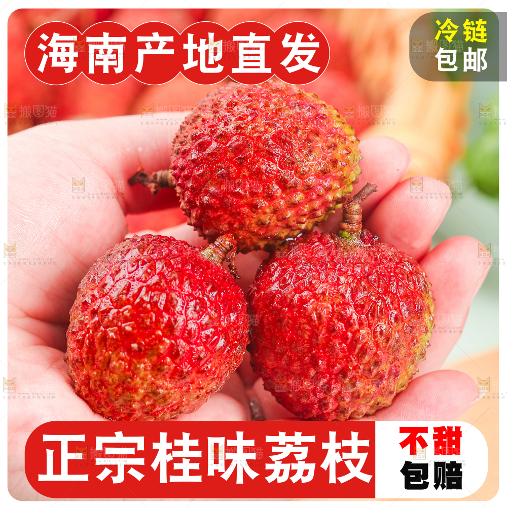 桂味荔枝主图