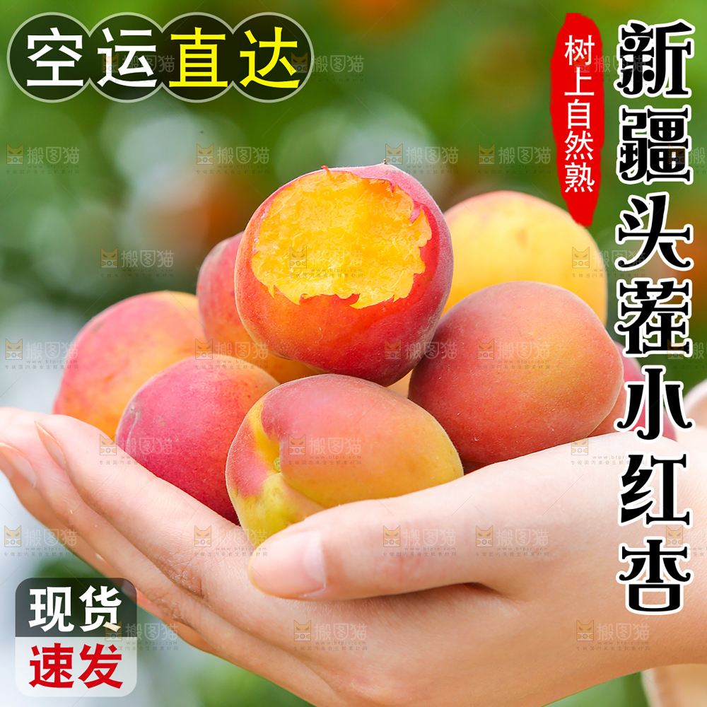 新疆小红杏主图