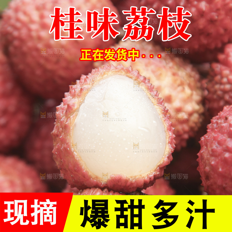 堆放着的桂味荔枝