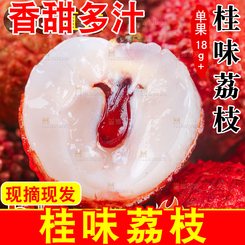 桂味荔枝主图