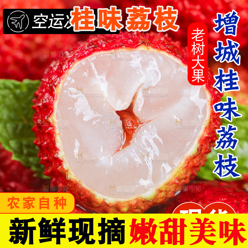 桂味荔枝主图