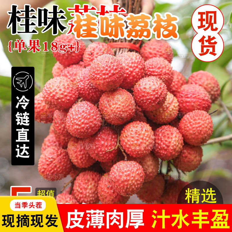 新鲜桂味荔枝主图
