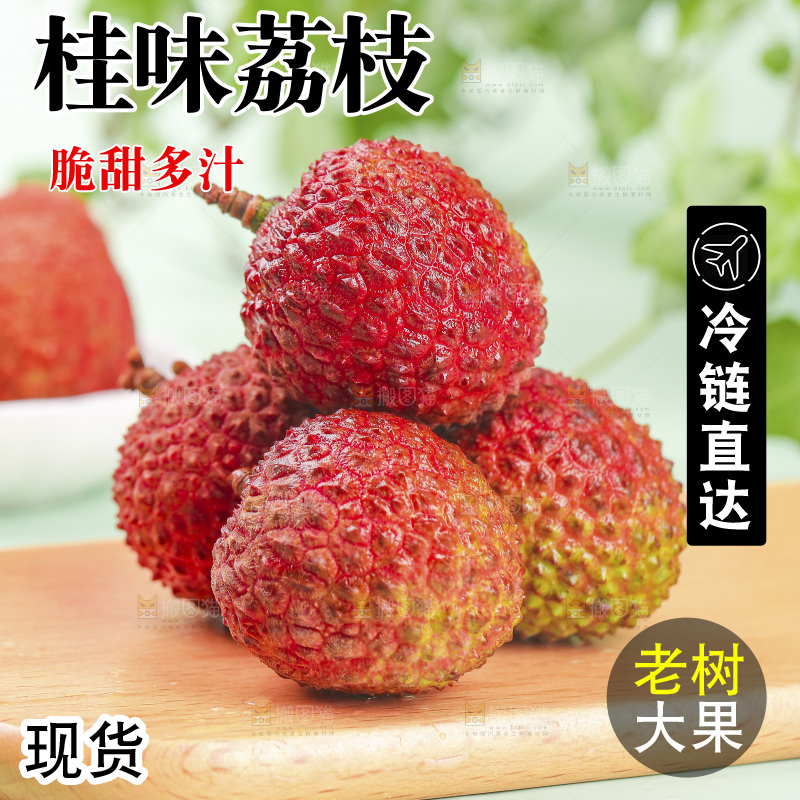 桂味荔枝主图