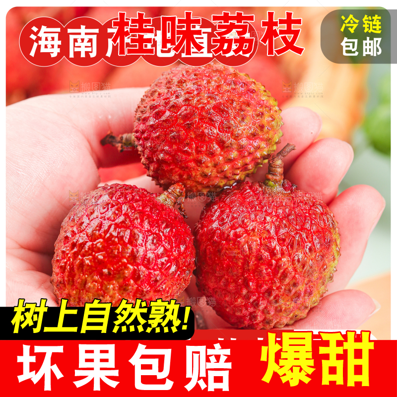 桂味荔枝主图