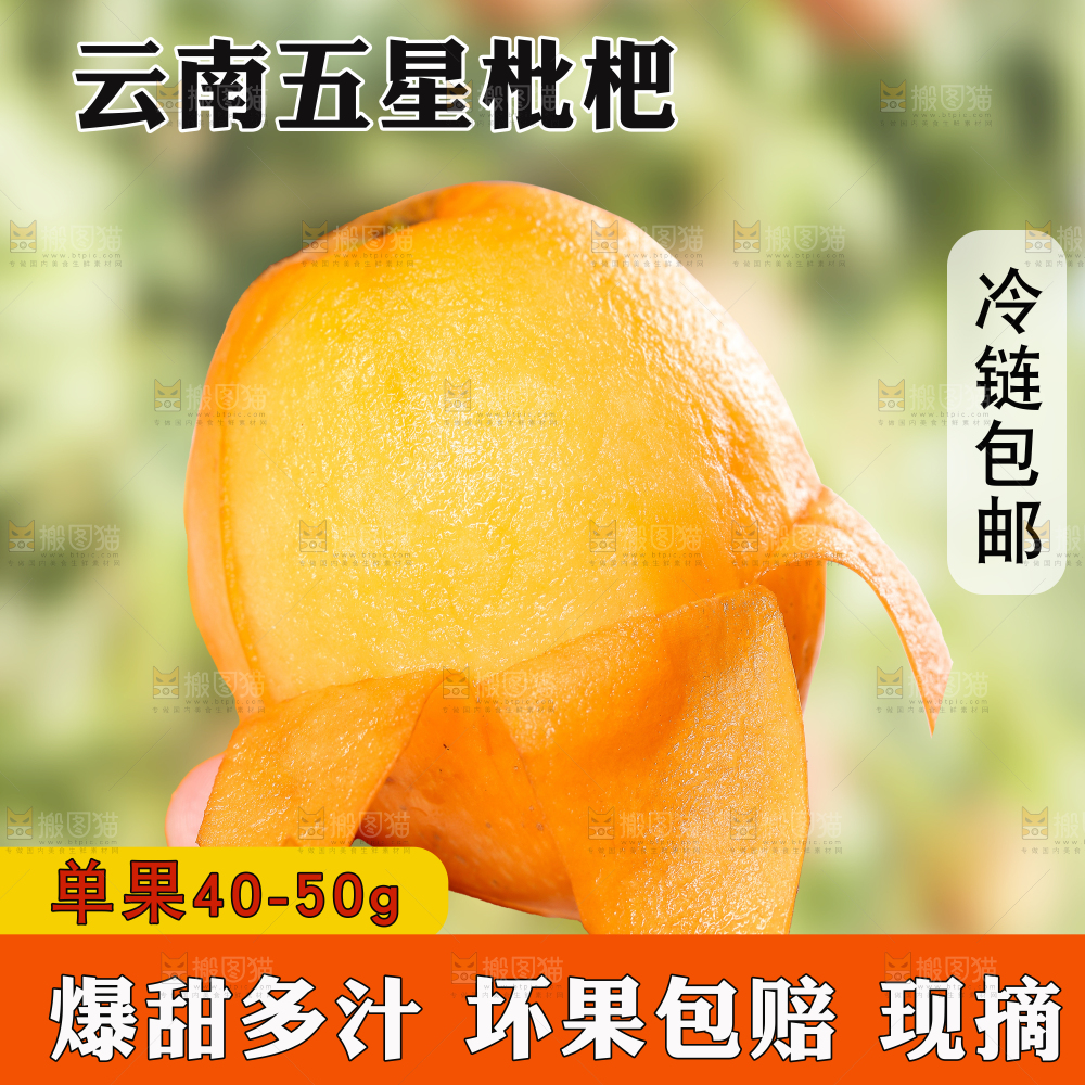 米易枇杷主图
