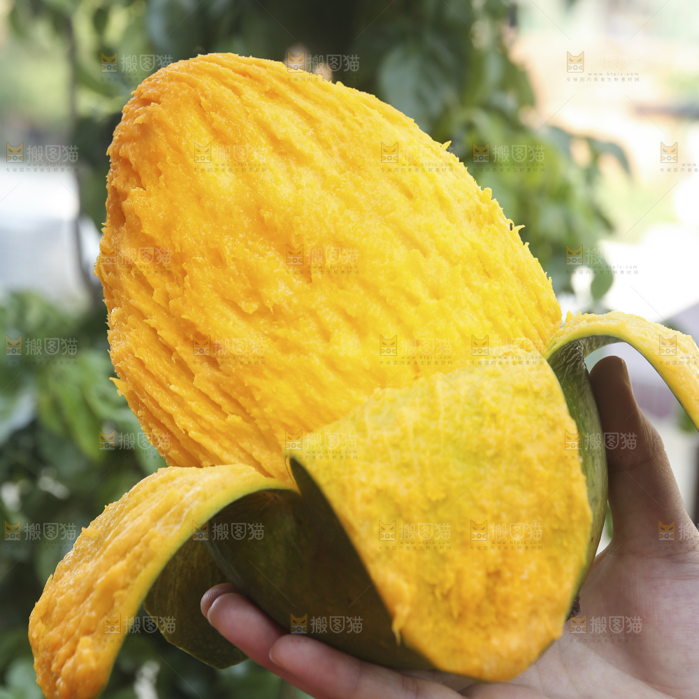浅底上的凯特芒