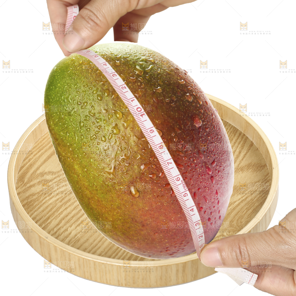 白底上的凯特芒