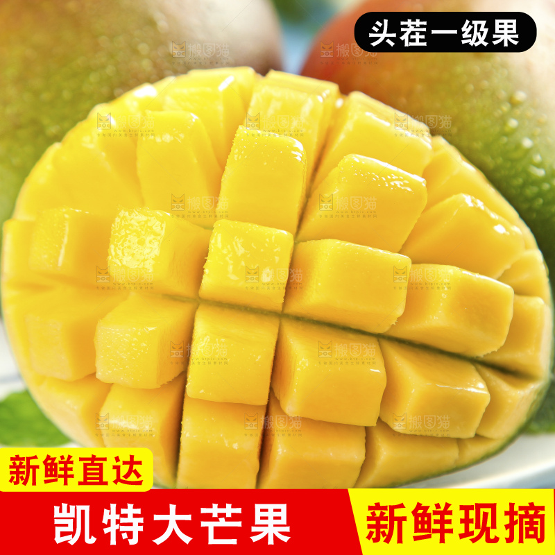凯特芒主图