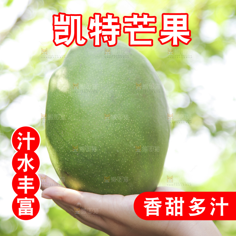 凯特芒主图