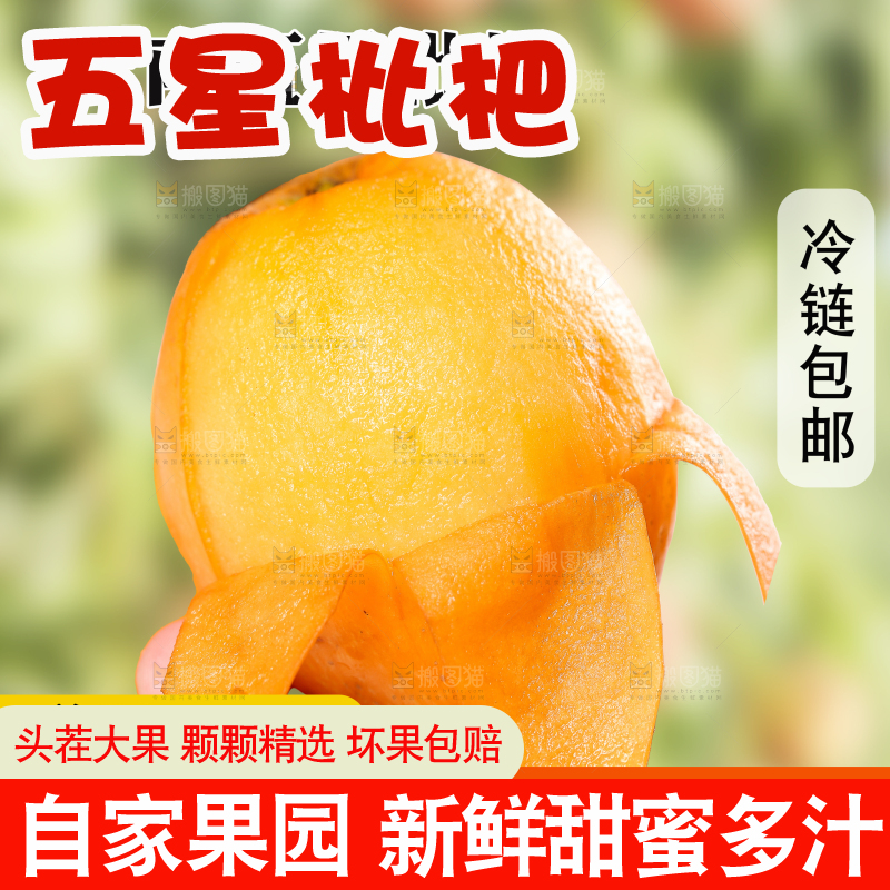 米易枇杷主图