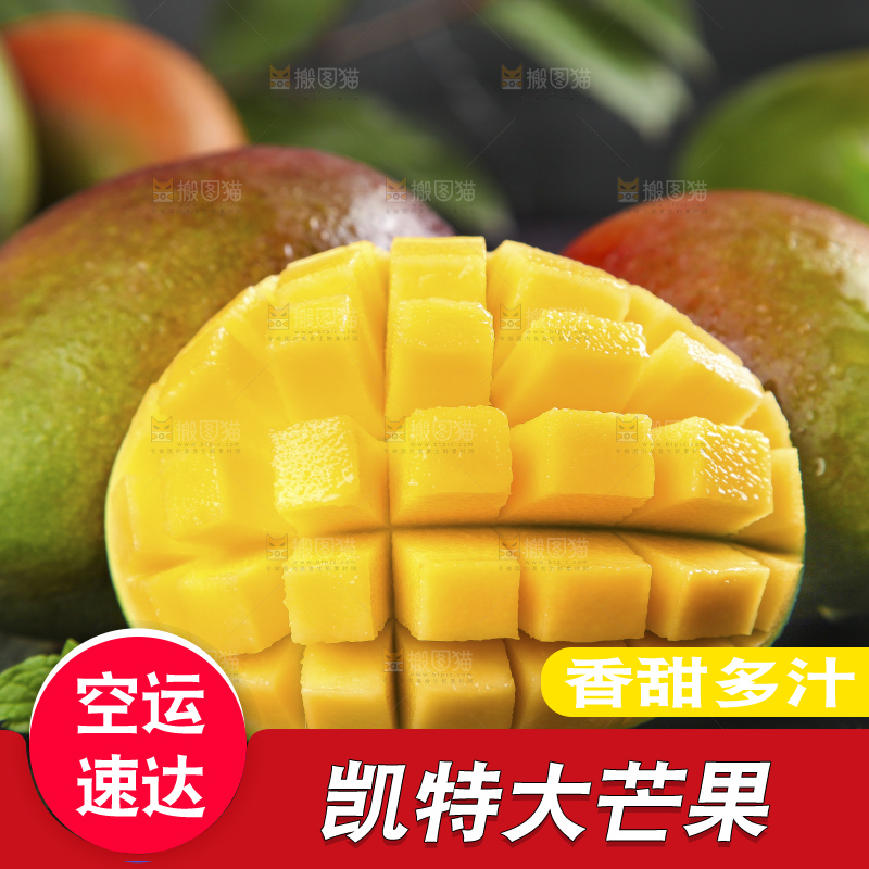 凯特芒主图