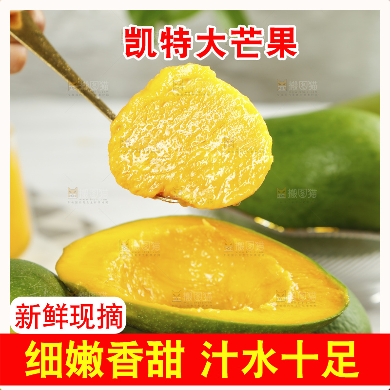 凯特芒主图