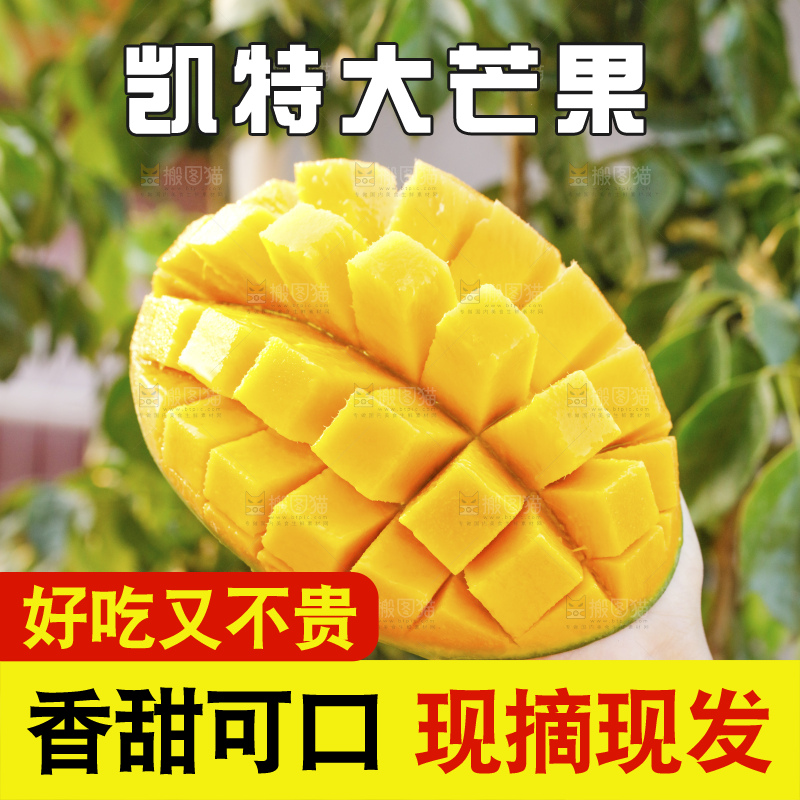 凯特芒主图