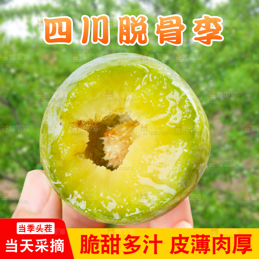 青脆脱骨李主图