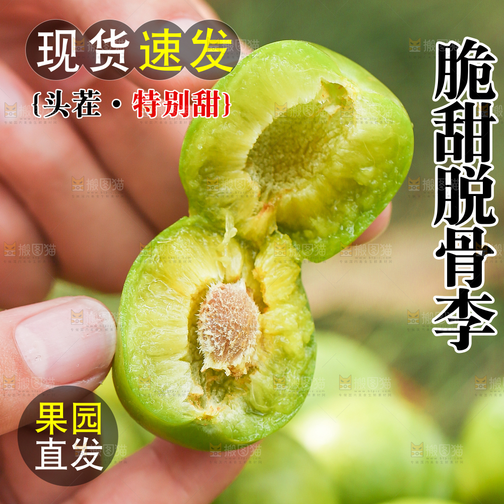 青脆脱骨李主图