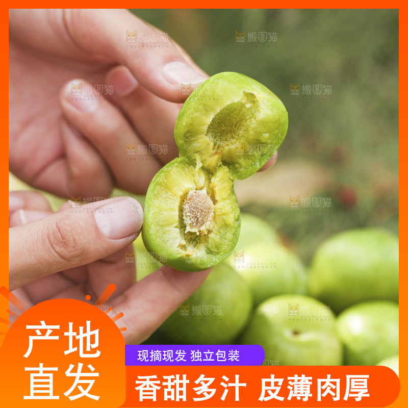 手里拿着脱骨李