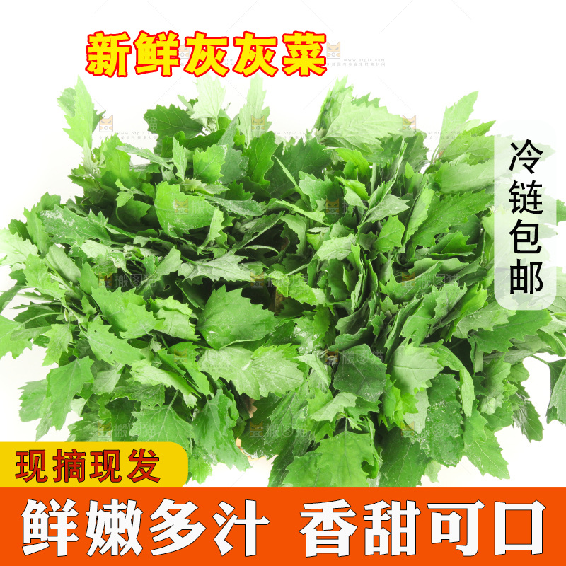 白底上的灰灰菜