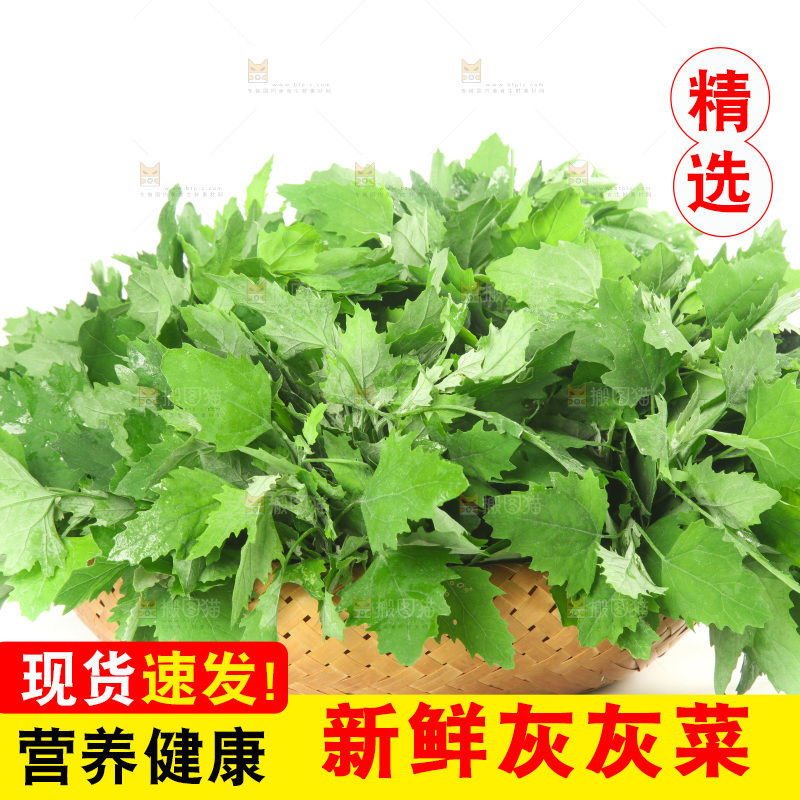 白底上的灰灰菜
