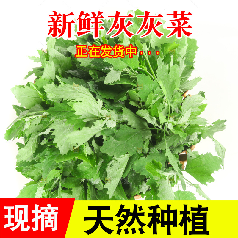 白底上的灰灰菜