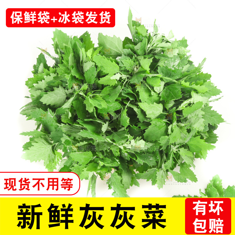 白底上的灰灰菜