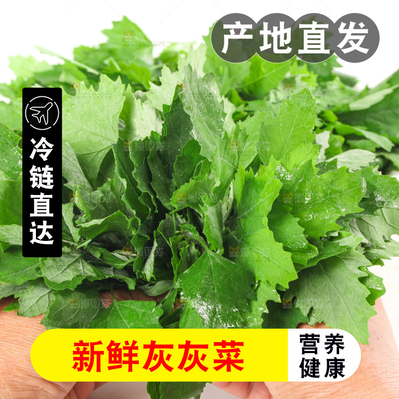 白底上的灰灰菜