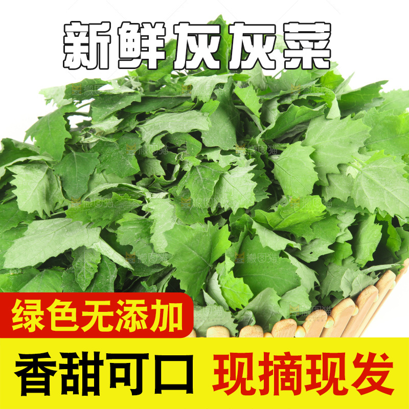 白底上的灰灰菜