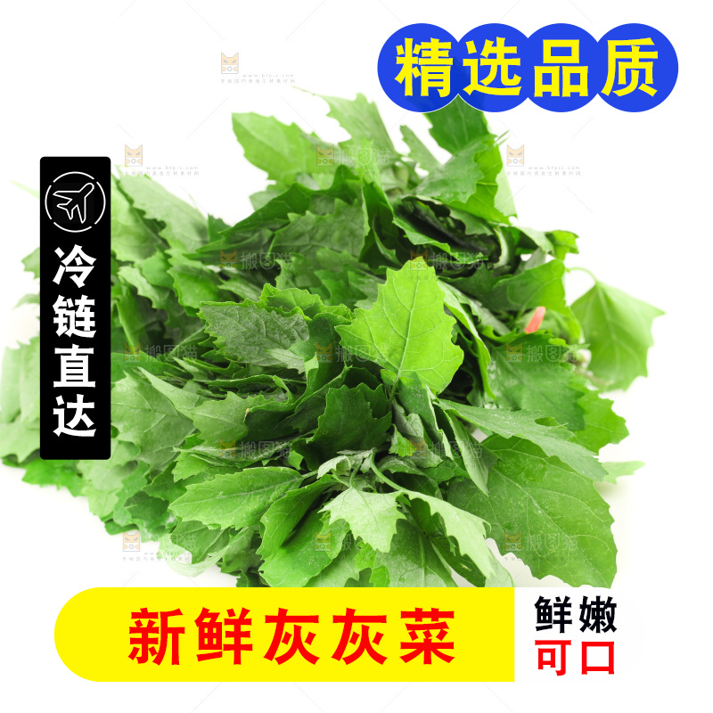 白底上的灰灰菜